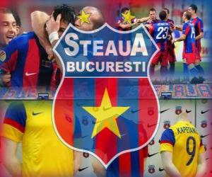 пазл Стяуа Бухарест, румынский футбольный клуб